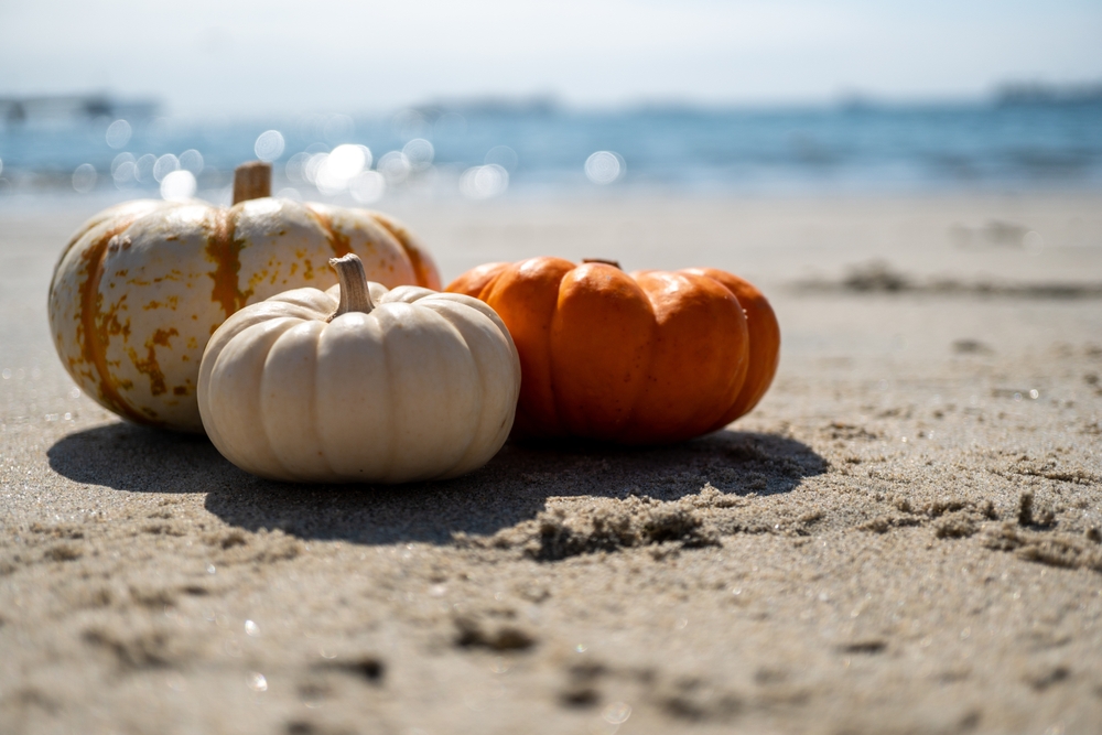 Why a Fall Beach Getaway in Ocean City, NJ Is Your Best Kept Secret for 2025